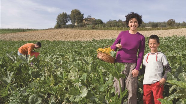 Un nouveau fonds de 75 M$ pour la relève agricole québécoise