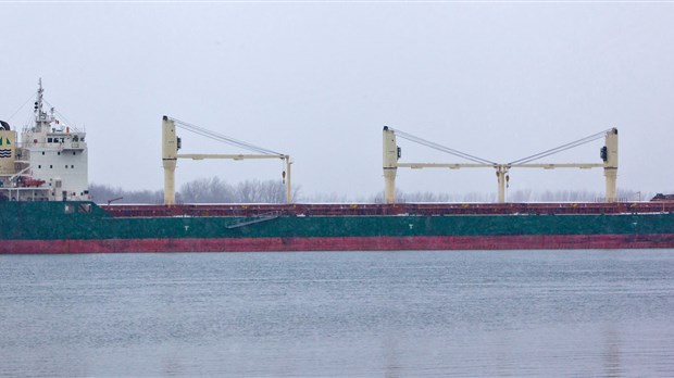 Un cargo s'échoue au large de Sainte-Anne-de-Sorel