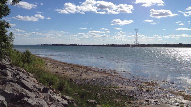 Un parc à chiens pourrait voir jour à Sorel-Tracy en 2013