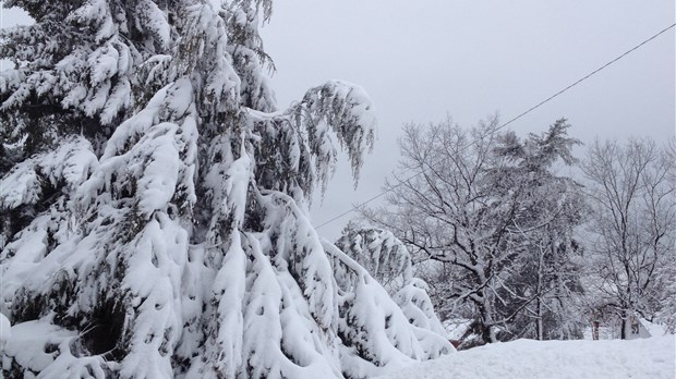 La neige fait des dégâts