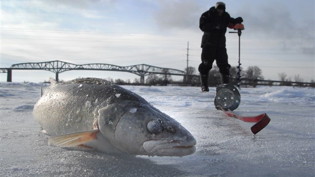 Les pêcheurs voient déjà une nette amélioration