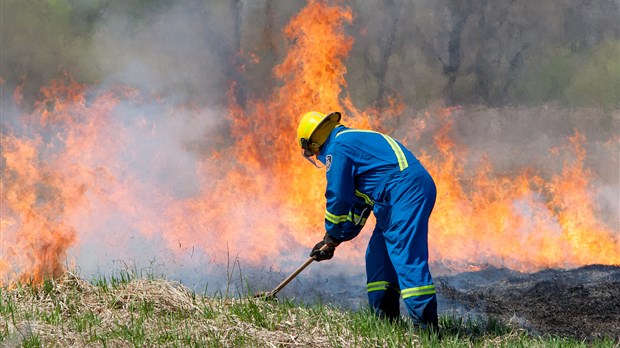 Feu de broussaille majeur sur le rang Lavallière