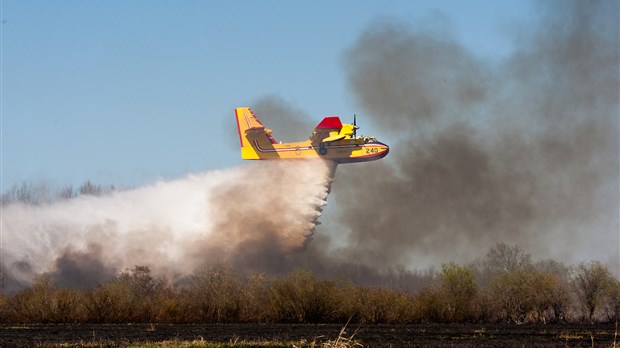 Feu de broussaille : avion en renfort!