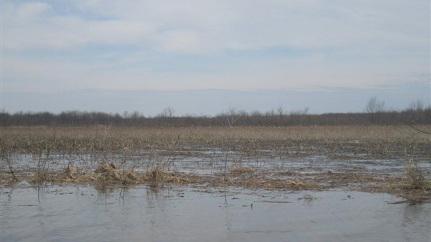 Baie Lavallière : il n'est pas trop tard