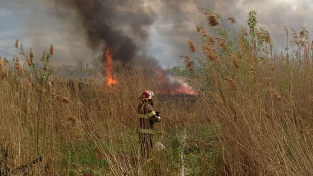Feu de broussaille : Des impacts mineurs sur l’agriculture