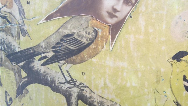 Le cirque des oiseaux à la Maison des gouverneurs
