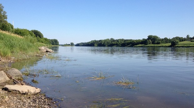 Début des fouilles archéologiques le long de la rivière Saint-François