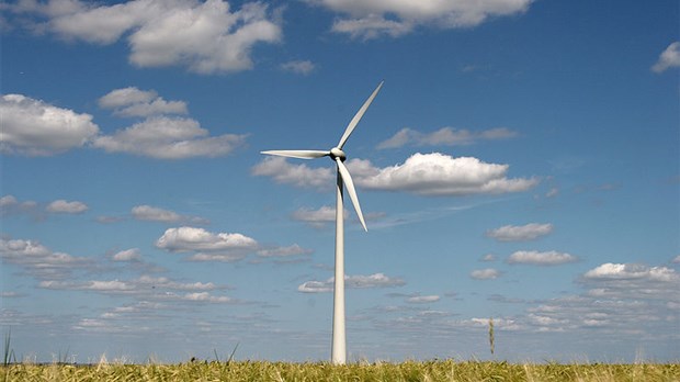 Parc éolien: un investissement qui prévoit rapporter gros