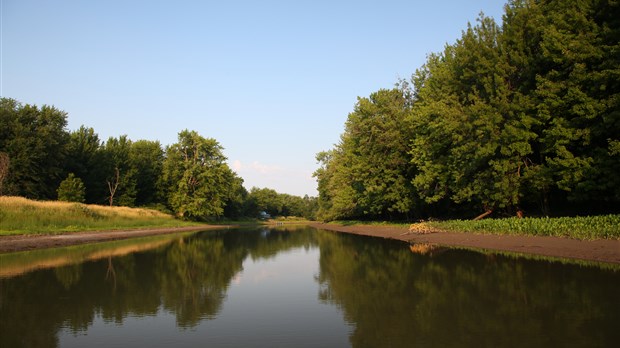 Plan de match pour la biodiversité