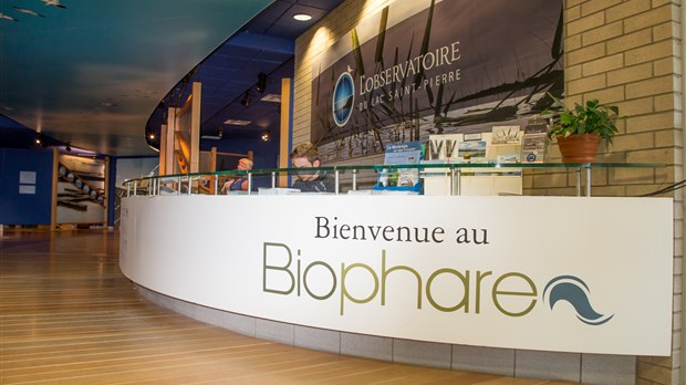 Les musées appellent à l'aide