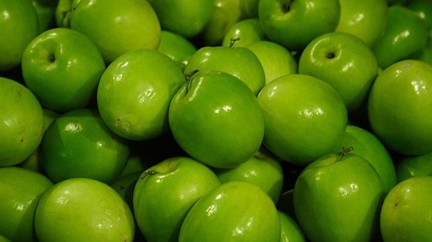 Rappel de pommes causé par la bactérie Listeria