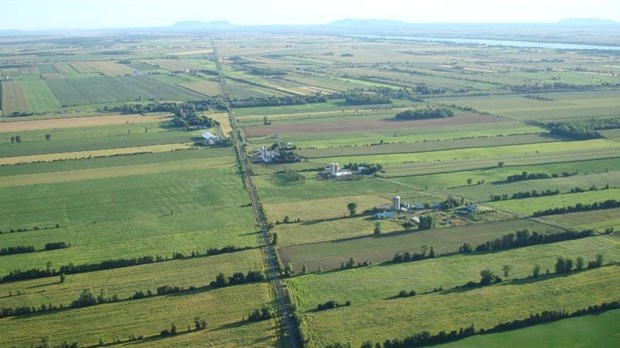 À cause de l’indifférence du ministre,  83 % des agriculteurs paieront plus, beaucoup plus