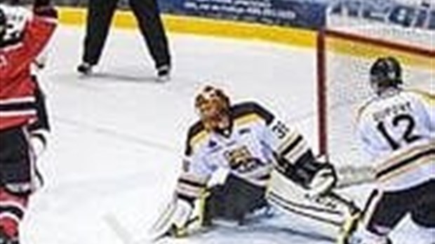 Victoire Éclatante pour les Éperviers