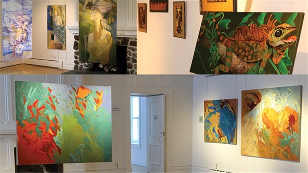 Appel de dossiers expositions 2019 – Maison des gouverneurs
