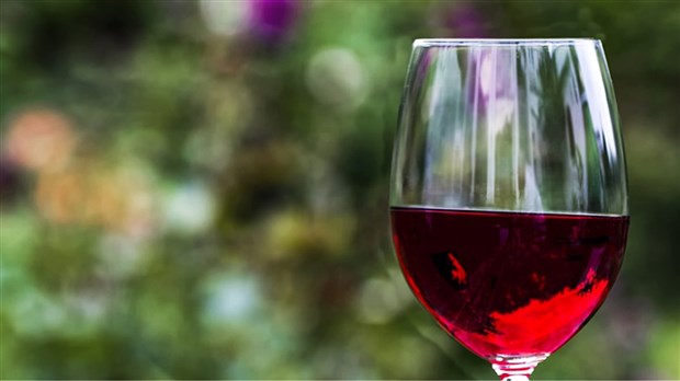 Le Salon des vins de Sorel-Tracy annonce la tenue de sa 3 e édition