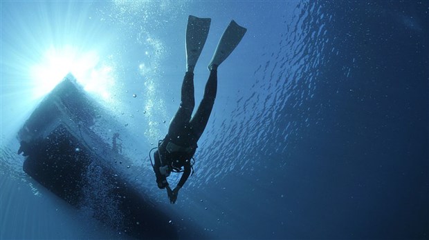 Sûreté du Québec: une équipe souder pour retrouver 