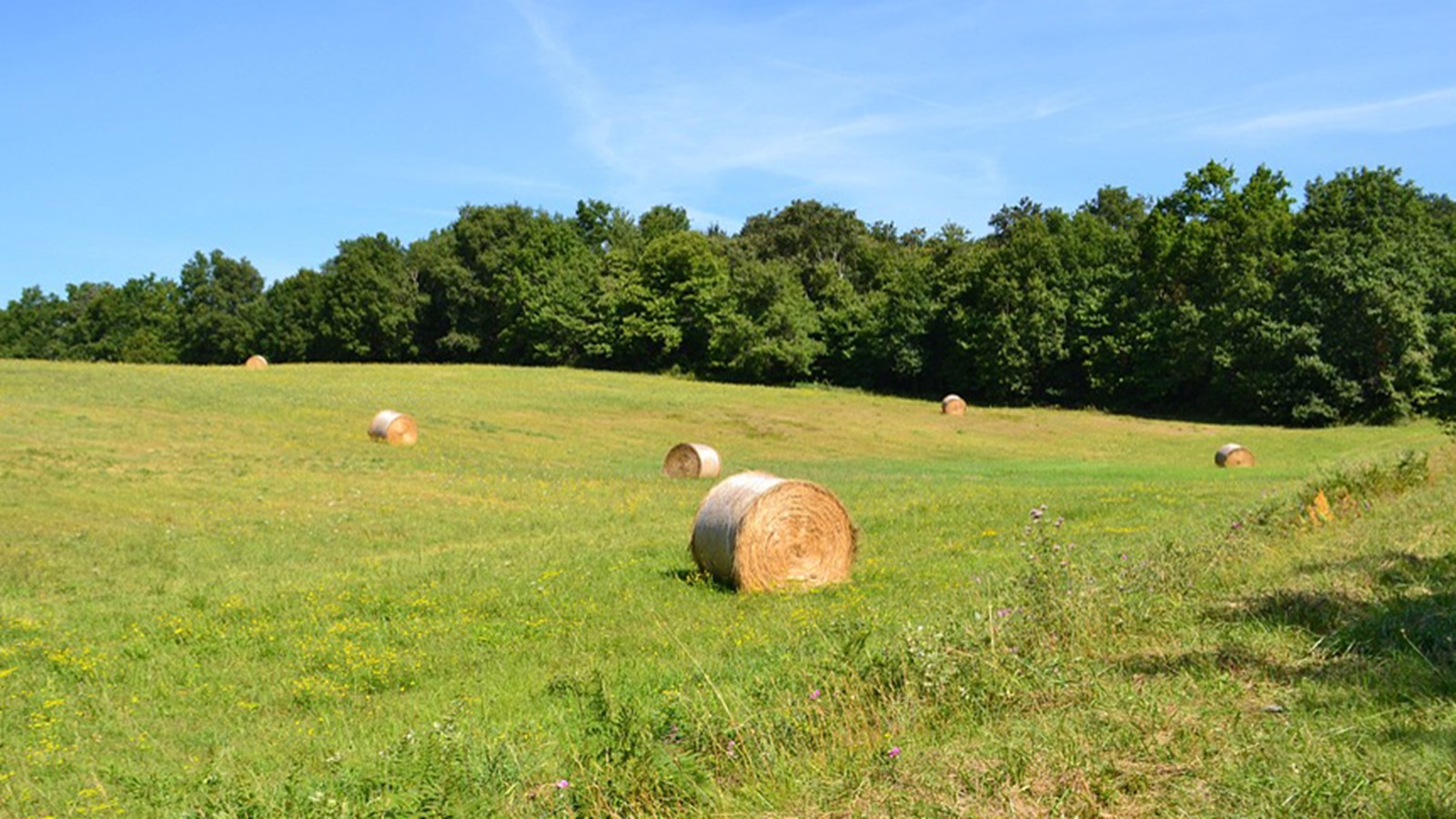 15 hectares de terres agricoles aménagés en 2018 et toujours en ...