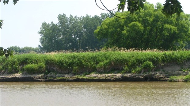 MRC Pierre-de-Saurel: partage sur les bonnes pratiques agricoles pour préserver l’eau