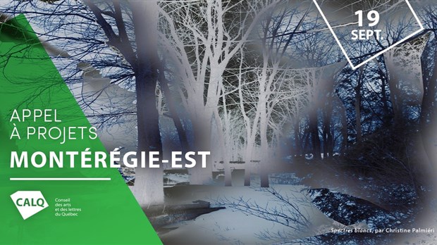 Rencontre d’information pour un appel à projets du CALQ en partenariat avec la Montérégie-Est