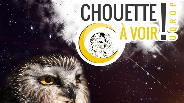 Des étoiles Plein Les Yeux à Chouette à Voir Sorel Tracy