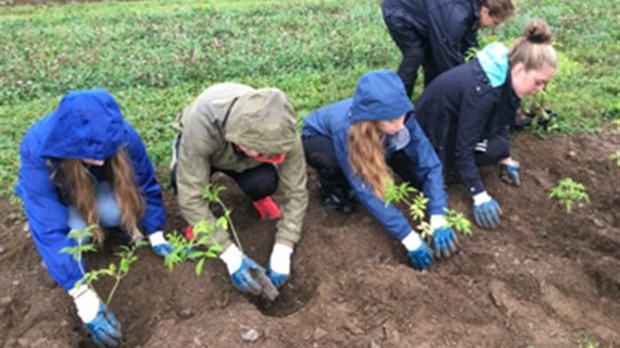 Projet New Acre: la gestion des acres améliorées suite à un soutien d'ALUS Montérégie