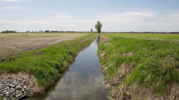 Cohabitation harmonieuse en zone agricole en Montérégie 