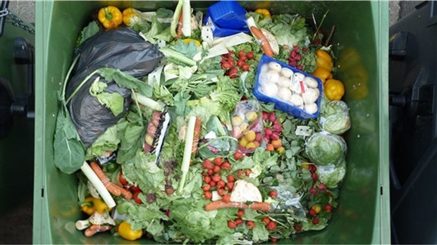 Une conférence virtuelle pour contrer le gaspillage alimentaire