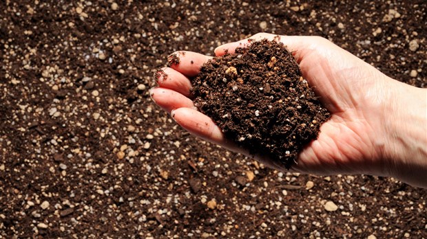 Distribution gratuite de compost les 13 et 14 mai au parc Dorimène-Desjardins 