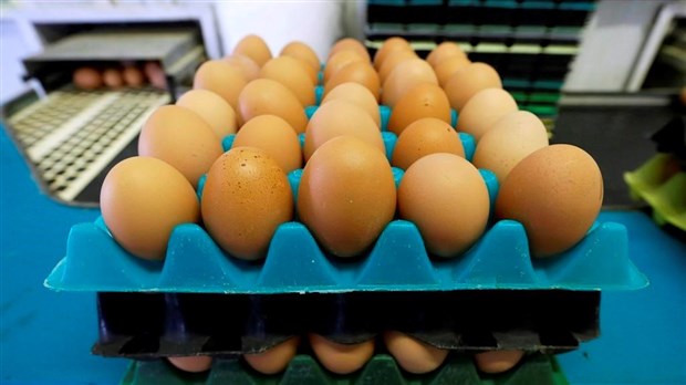 Les banques alimentaires du Québec sonnent l'alarme