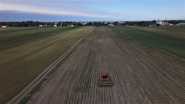 383,4 hectares de cultures de couverture implantés pour la santé des sols en Montérégie