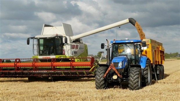 Les Producteurs de grains du Québec demandent des mesures pour les droits de douane