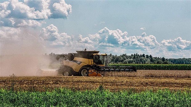 Jusqu’à 77 000 $ remis aux producteurs agricoles en Montérégie