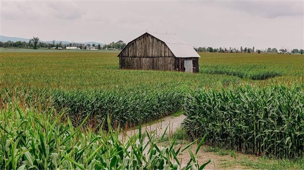 Des consultations pour orienter la stratégie nationale sur la main-d'œuvre agricole