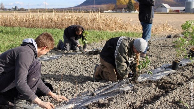 Candidatures recherchées pour le Programme ALUS Montérégie