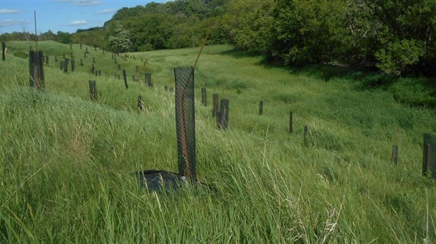 Un projet interrégional de transfert de connaissances sur les coulées agricoles est lancé