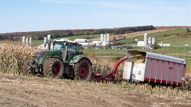 Changement climatique: un «état des connaissances» sur l'agriculture au Québec