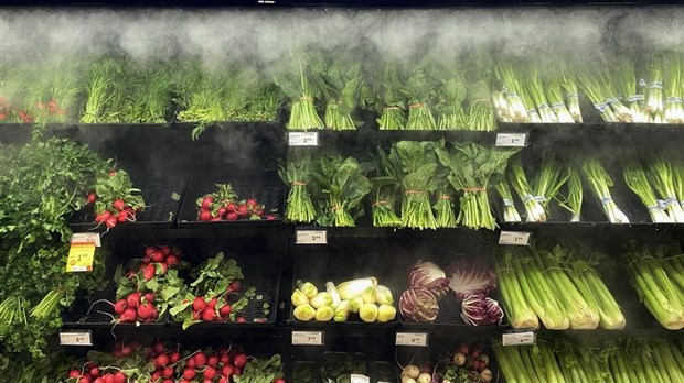 Des chercheurs prévoient une hausse plus faible des prix des aliments au Canada