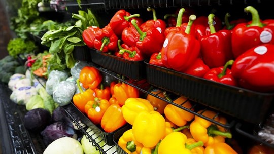 La littératie agricole, un apprentissage de plus en plus nécessaire