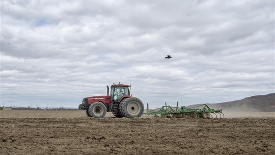 Devant les champs asséchés, le milieu agricole s'inquiète du manque de pluie