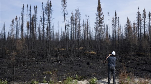 Le Canada devrait se préparer à une autre saison de grands feux