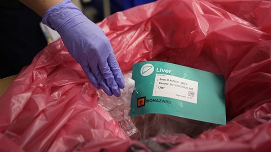 Les dons d'organes ont augmenté chez les prestataires de l'aide médicale à mourir