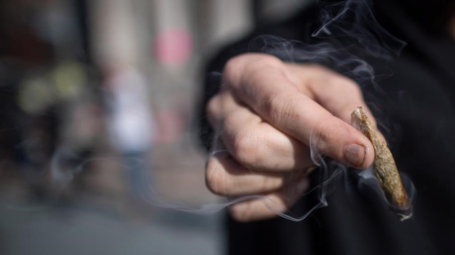 Baisse de la proportion de Québécois qui consomment du cannabis