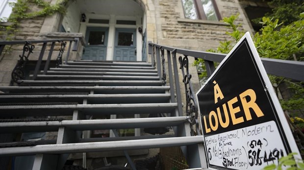 Peu de recherches s'attardent au logement étudiant au Québec, selon un rapport