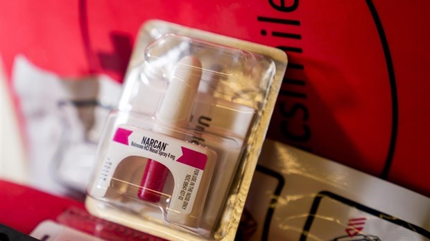 Surdoses d'opioïdes: la première phase de la formation des enseignants est complétée