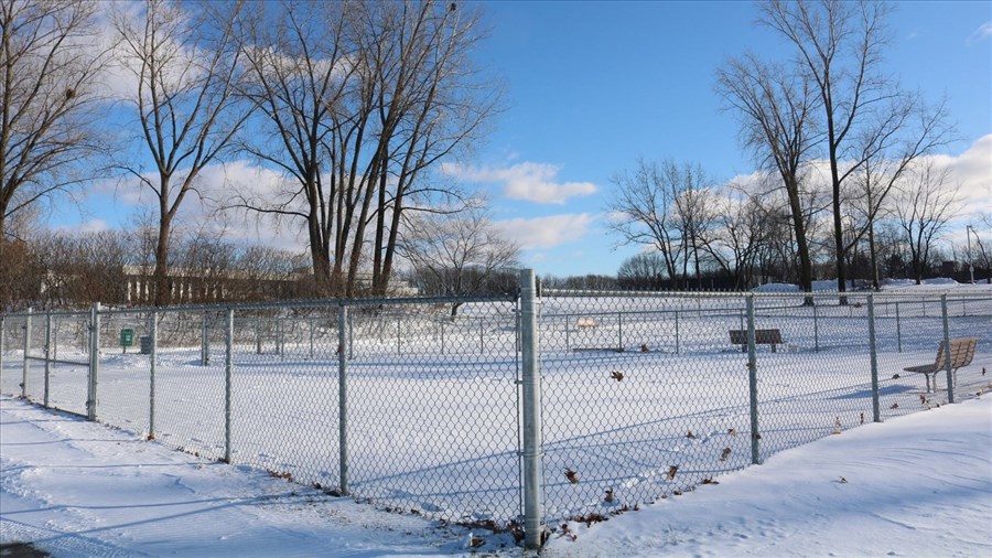 Réouverture du parc canin Elzéar-Cournoyer